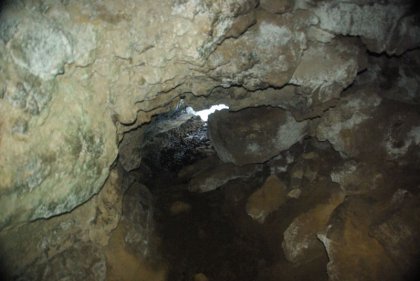 IMGP8210