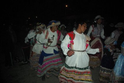 IMGP3445